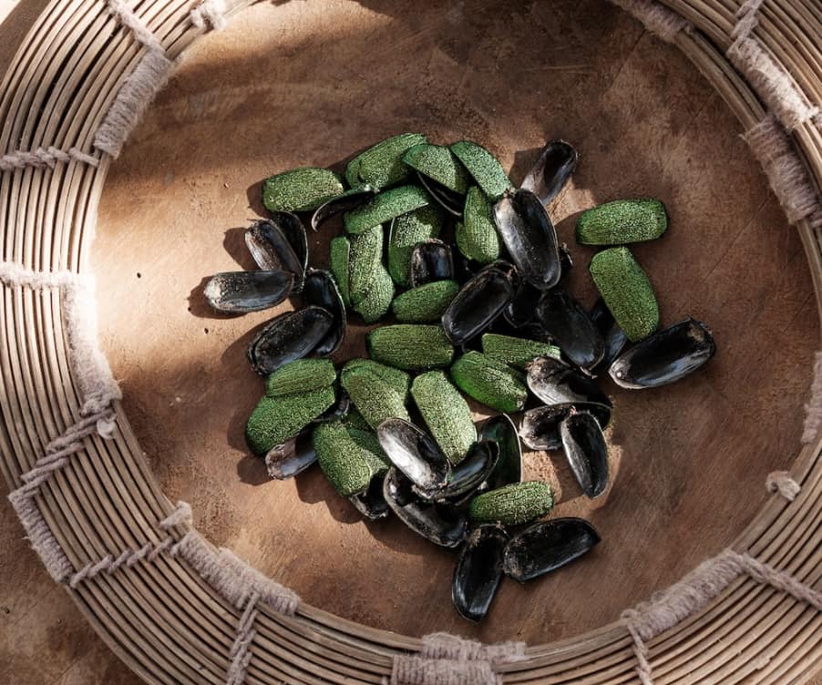 Akitai Awajun - Image 5