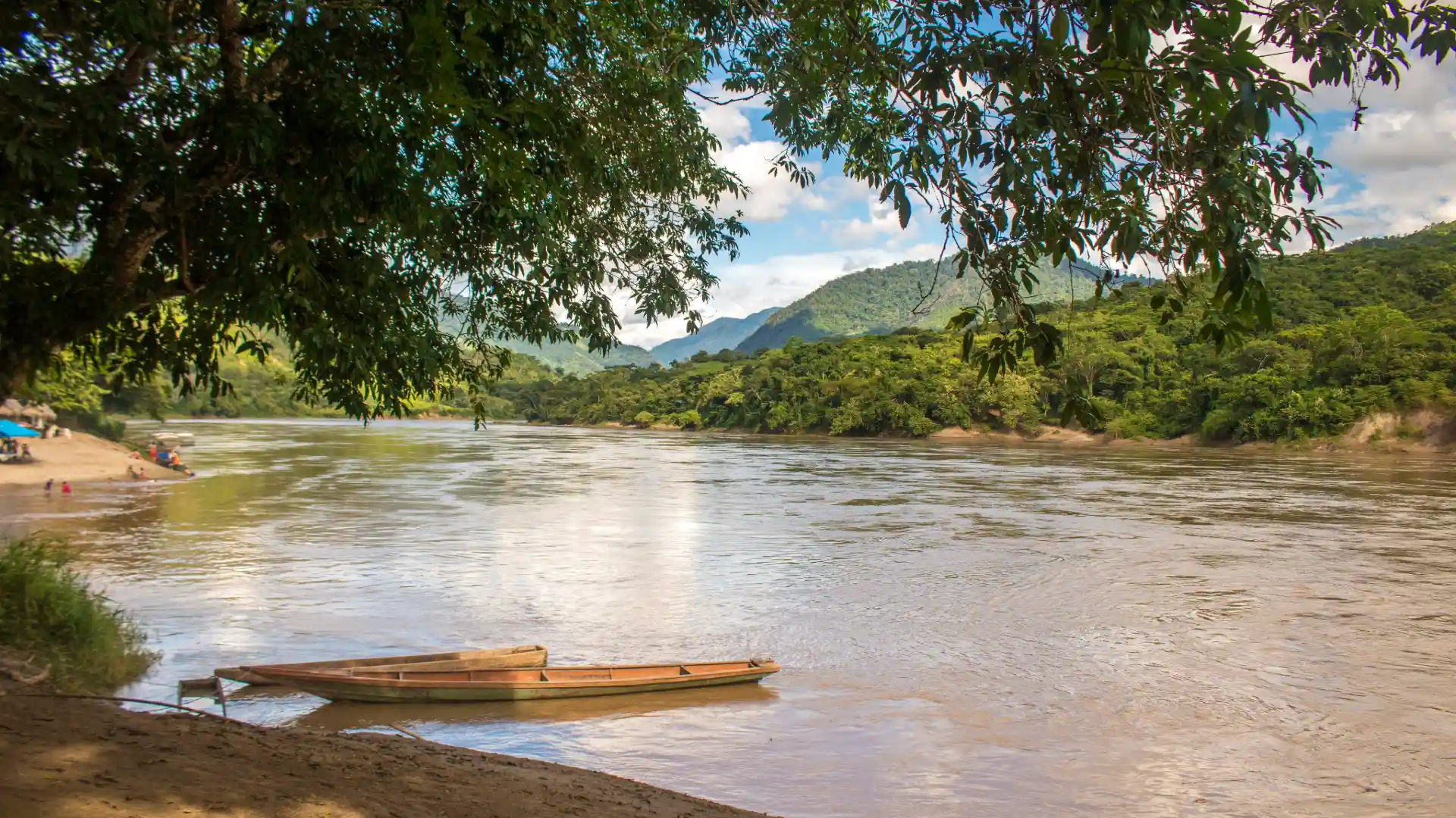 Río en la selva