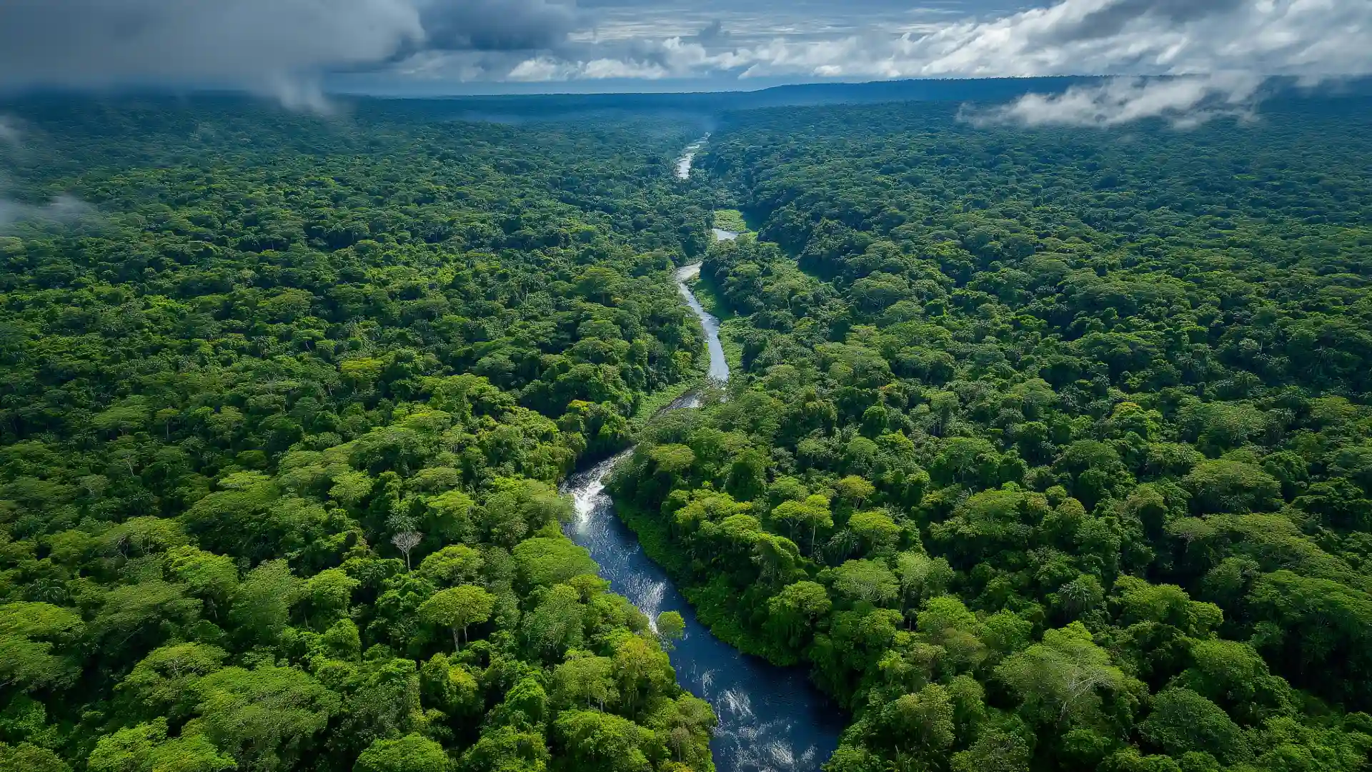 amazonia-1