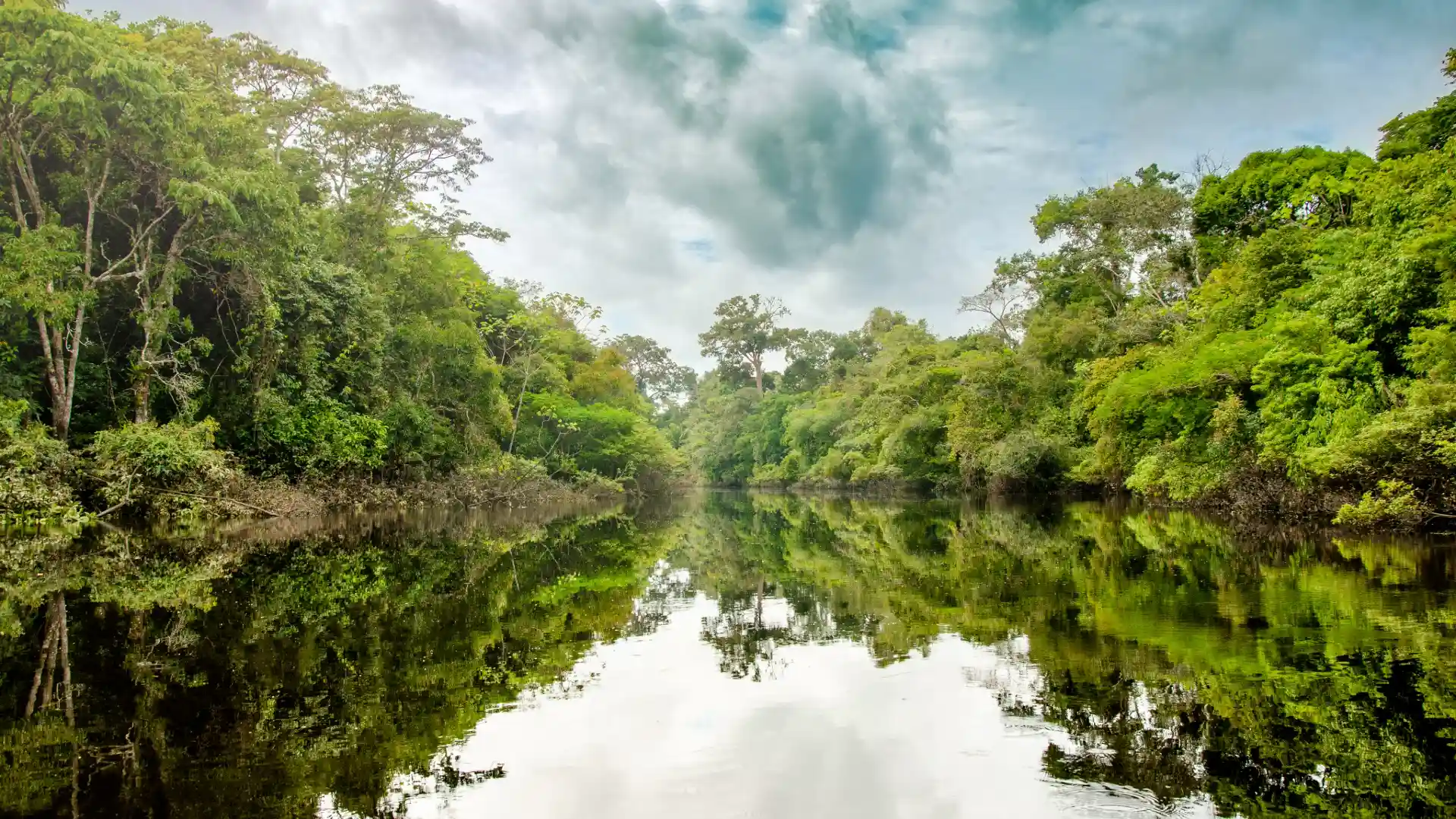 Amazonia