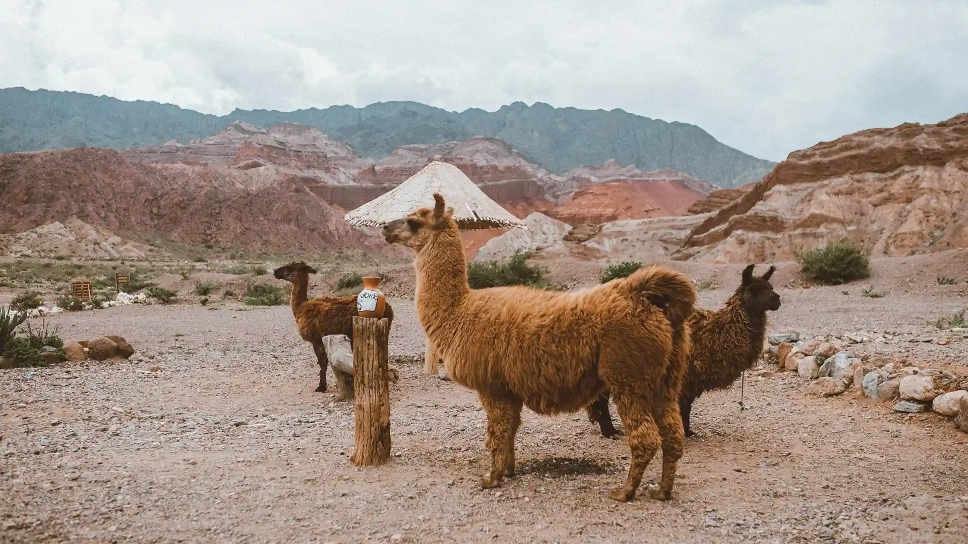 Severní Peru