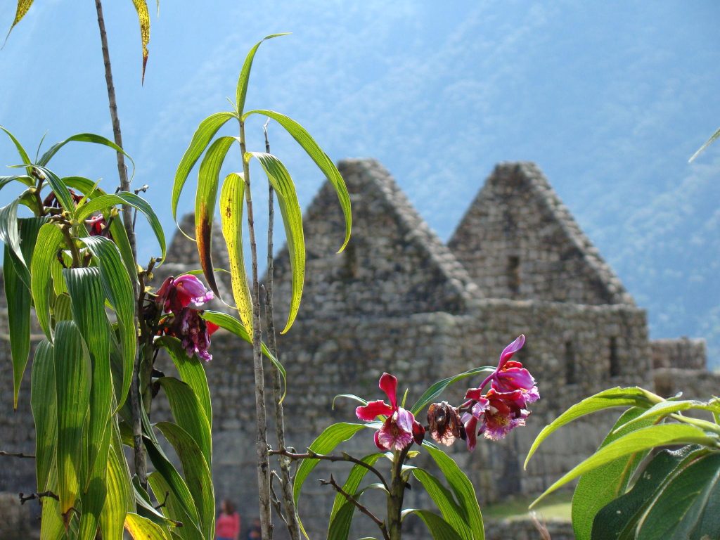 Machu Picchu: biodiverzita – devět přírodních světů na jednom místě